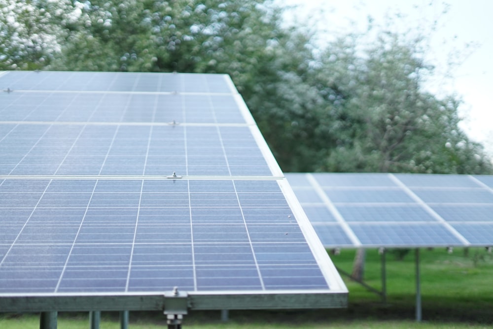 Close-up of solar panel cells